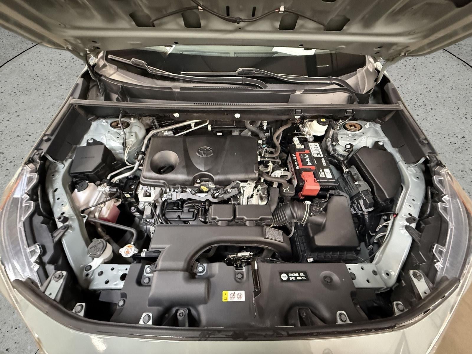 2019 Toyota RAV4 XLE