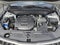 2023 Kia TELLURIDE Base