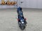 2024 HARLEY-DAVIDSON SOFTAIL Base